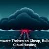 Ransomware Thrives on Cheap, Bulletproof Cloud Hosting